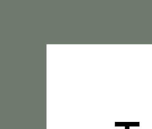 Type 3